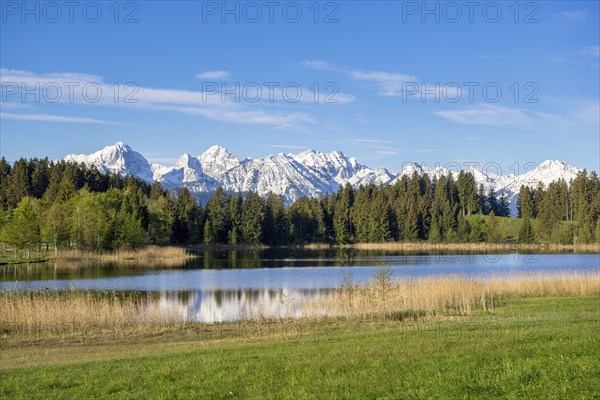 Hegratsrieder See near Füssen, Allgäu Alps, snow, Allgäu, Bavaria, Germany, Europe