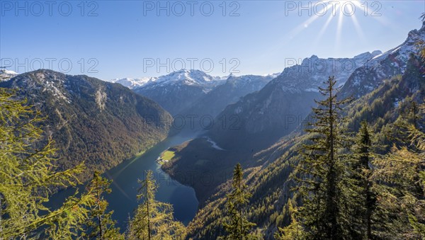 Panoramic view of the Königssee from the Archenkanzel viewpoint, autumnal forest and snow-capped