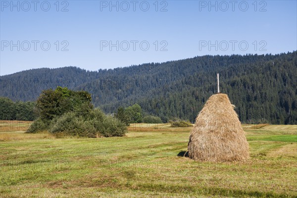 Traditional haystack Triste in the Rothenthurm high moor, Canton Schwyz, Switzerland, Europe