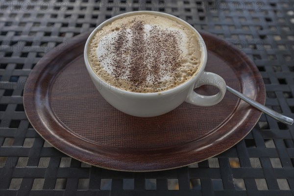 Cappuccino with cocoa powder, Bavaria, Germany, Europe
