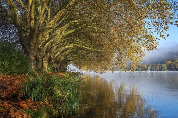 Essen, North Rhine-Westphalia, Germany, Golden autumn at Lake Baldeney. Walkers in the morning sun