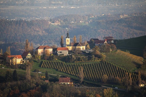 Autumn atmosphere in the evening light, forest with foliage colouring, hilly landscape, vineyards,