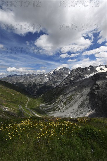 Panoramic view of mountains in summer, Stelvio pass, Stelvio National Park, Stelvio, South Tyrol,