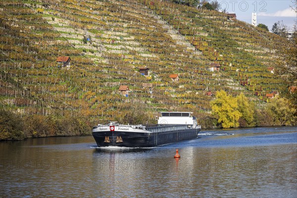 Barge RESONARE underway on the Neckar, vineyards in autumn. The barge has an overall length of 105