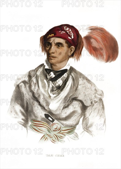 American Indian, Native American, Tah-Chee, Chief of the Cherokee tribe, United States of America,
