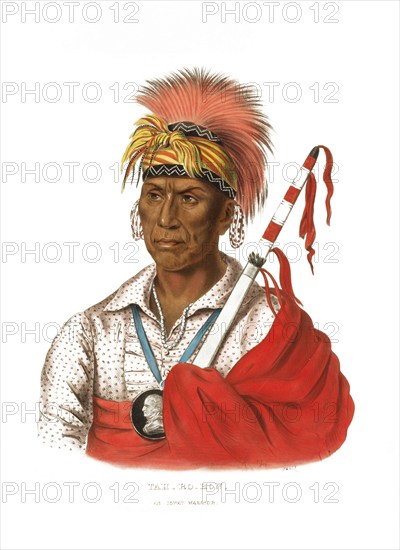 American Indian, Native American, Teh-Ro-Hon, warrior of the Ioway tribe, United States of America,