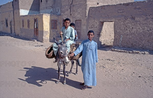Children, boys on donkeys posing for photo, Al-Bahariyya Oasis, Libyan Desert, Egypt, Africa