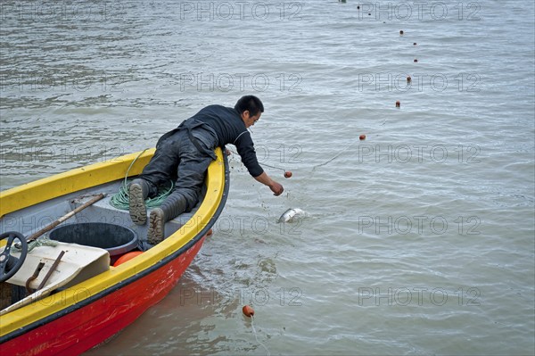 Inuit hunter retrieving fish from a net, near Inuit settlement Tiniteqilaaq or Greenlandic
