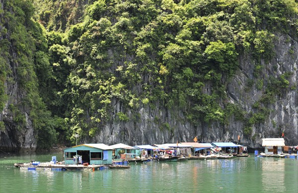 Floating fishing village in the Gulf of Tonkin at Halong Bay, Vietnam, Asia