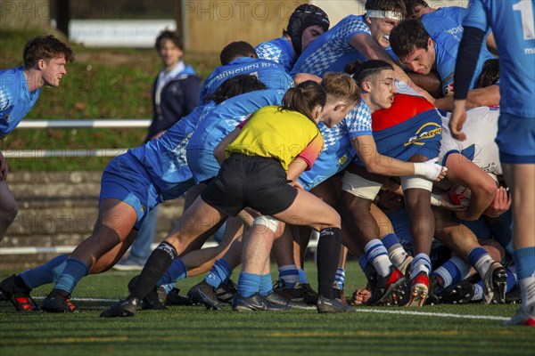09.11.2024, Rugby 1st Bundesliga South/West, Season 2024/25, Matchday 7: TSV Handschuhsheim vs