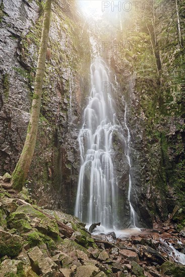 Burgbach Waterfall in coniferous forest falls over granite rocks into the valley near Bad