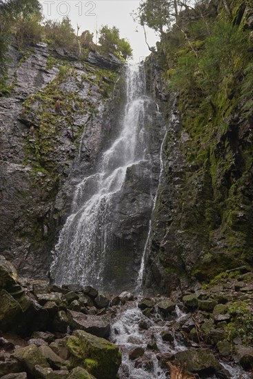 Waterfall in the forest, Burgbach waterfall near Schapbach, Black Forest, Baden-Wurttemberg,
