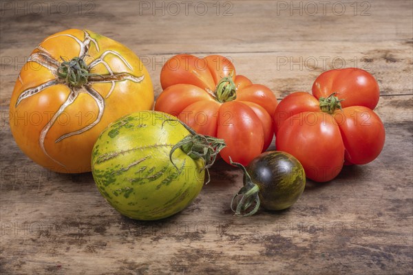 Variety of old tomatoes from organic farming. Alsace, France, Europe