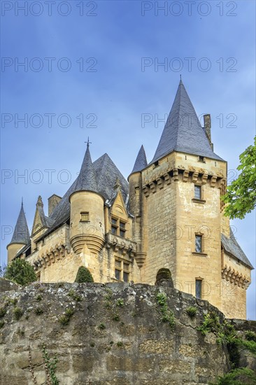 Chateau de Clerans has a beautiful slate roof with spires and ornamental stone work,