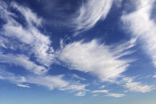 White cirrus clouds on blue sky, cirrus clouds of ice crystals frayed by high-altitude winds. White