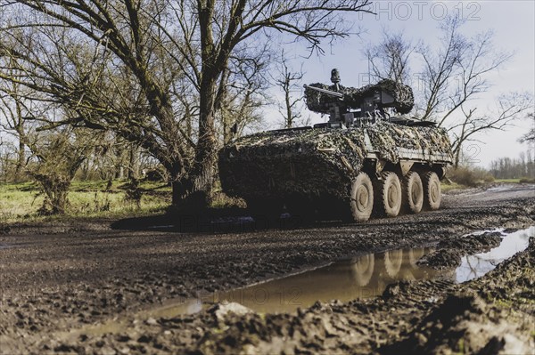 A Pandur II tank drives through a forest as part of the military exercise 'Wettiner Schwert' with