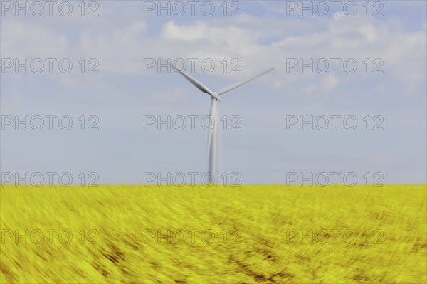 A wind turbine in a rapeseed field, photographed in Vierkirchen, 12/04/2024