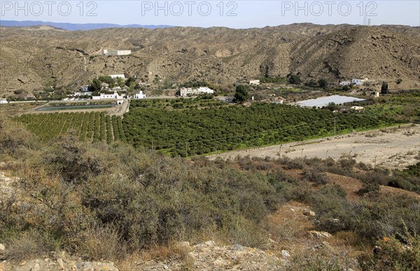 Fruit farming in River Andarax valley viewed from Los Millares prehistoric settlement, near Gador,