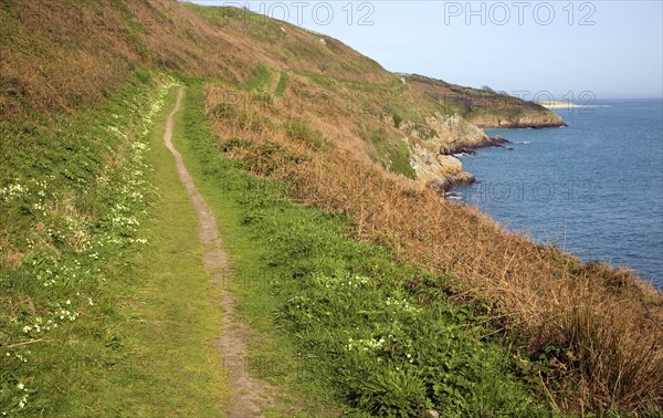 Footpath looking north Island of Herm, Channel Islands, Great Britain