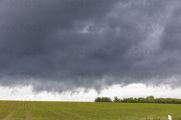 Heavy rain showers and thunderstorms over Possendorf in the Eastern Ore Mountains, Possendorf,