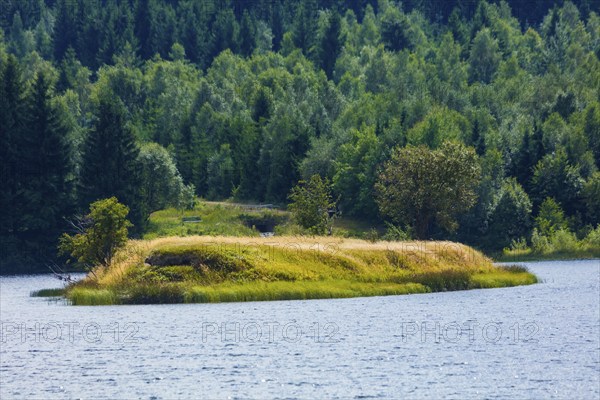 Gallows ponds: The large and small gallows ponds were built in the middle of the 16th century