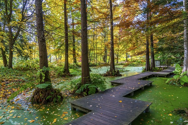 The Botanical Garden of the Ruhr University Bochum, in the district of Bochum-Querenburg, North