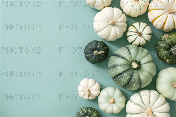 Top view of white and green pumpkins on mint green background with copy space. Generative Ai, AI