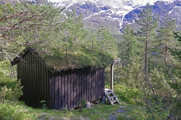 Rustic wooden hut in the middle of a green forest with mountains in the background, typical holiday