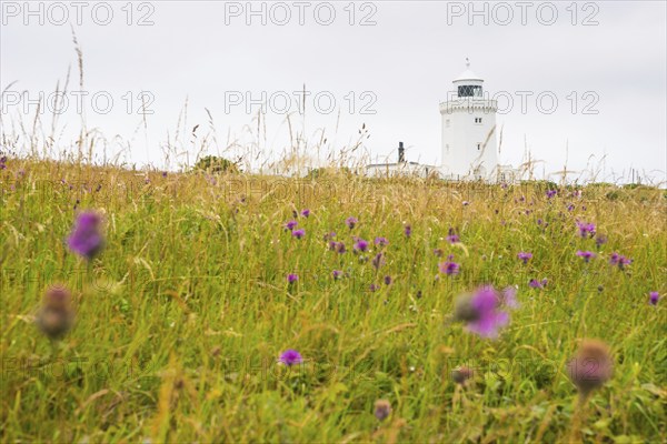 A white lighthouse towers over a flowery meadow, South Foreland Lighthouse, White cliffs of Dover,