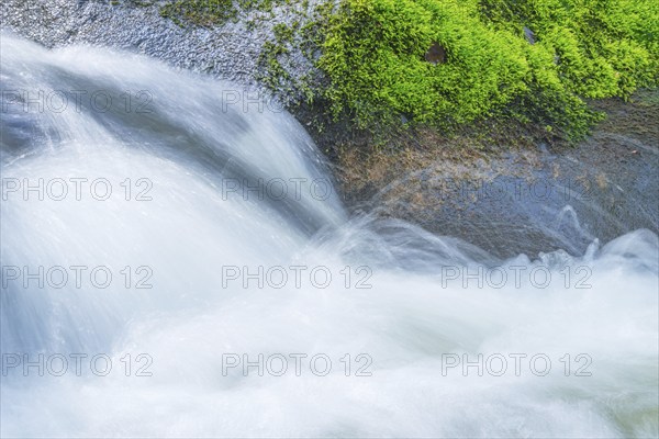 Fast flowing water flows over moss-covered stones, boulders, in a small river, rapids, riverbed