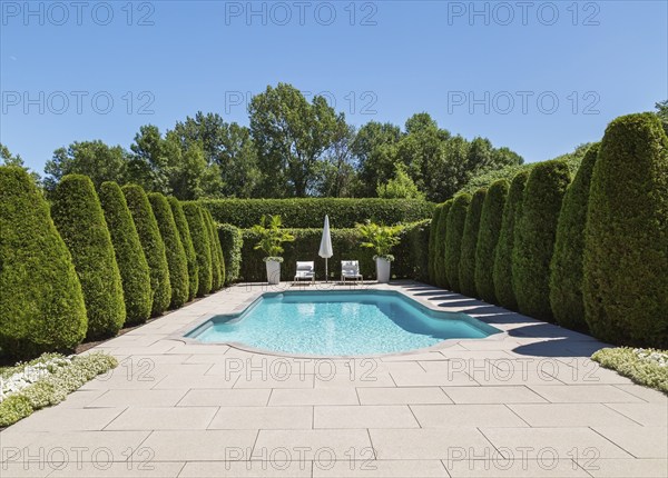 In-ground swimming pool and lounge chairs with parasol, planters bordered by rows of Thuja