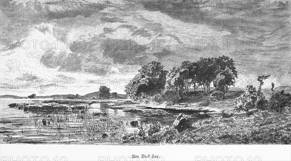 At, Dieksee near Eutin, inland, lakeshore, reeds, water plants, group of trees, cloudy sky, rural
