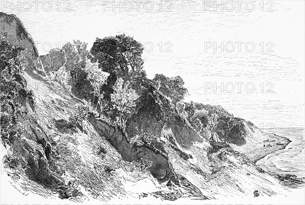 Lesnoye or Warnicken, Svetlogorsk municipal district, Kaliningrad oblast, Baltic Sea, Russia, steep