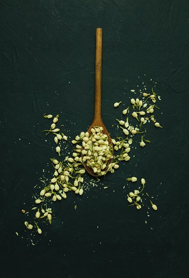 Jasmine flowers, wooden spoon, dry, herbal, tea, top view, no people