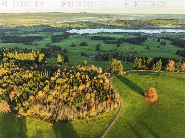 Mountain range near village Wertach, view to lake Rottachsee, aerial view, autumn colors, sunrise,