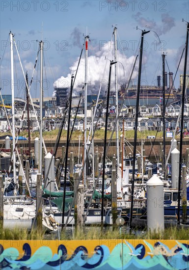 Seaport Marina IJmuiden, marina, sailing boats, yachts, behind the Tata Steel steel and smelting