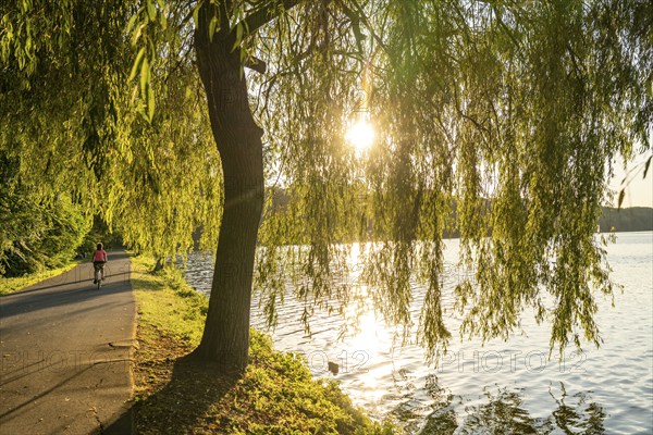 Cycling on Lake Baldeney, around 14 kilometres around the Ruhr reservoir, summer evening on the