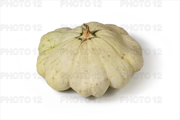 Pattypan squash with round and shallow shape and scalloped edges on white background