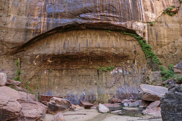 Blind arch in the sandstone rock along the Riverside Walk in the Temple of Sinawava area of Zion