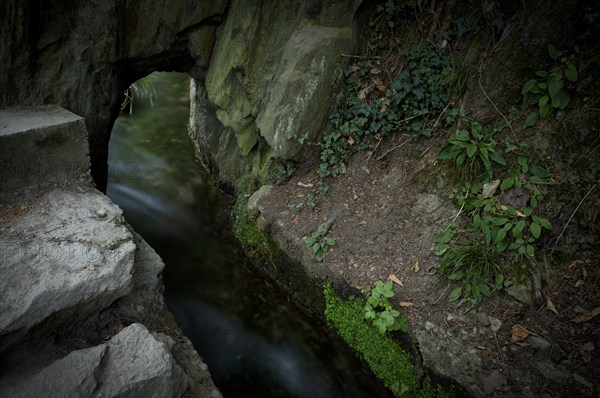 Hiking trail, Maiser Waalweg, stream, long exposure, Schenna, Scena, South Tyrol, Autonomous