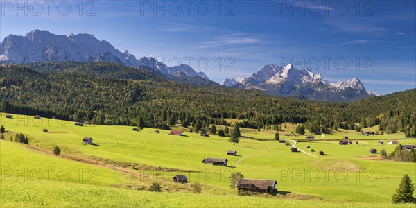 Humpback meadows between Mittenwald and Krün, Werdenfelser Land, behind it the Zugspitze, 2962m,