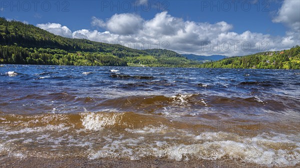 Landscape, Nature, Lake, Titisee, Black Forest, Germany, Europe