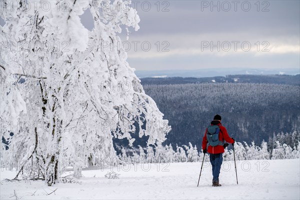 Winter in Sauerland, Hochsauerlandkreis, at Kahler Asten, near Winterberg, few tourists, visitors,