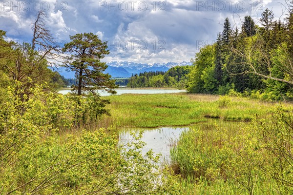 Lake surrounded by trees and mountains, with clouds in the sky and green landscape, Easter Lakes