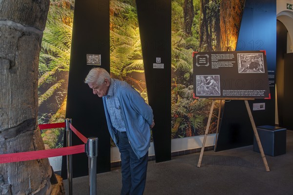 Elderly visitor in the be-MINE Mijnmuseum, coal mine museum in the city Beringen, Koersel, province