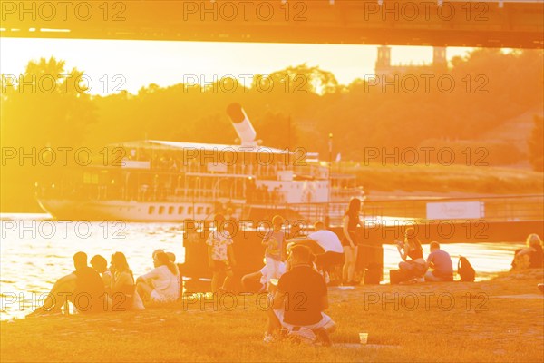 Summer evening at the Blue Wonder on the Elbe, Dresden Loschwitz, Dresden, Saxony, Germany, Europe