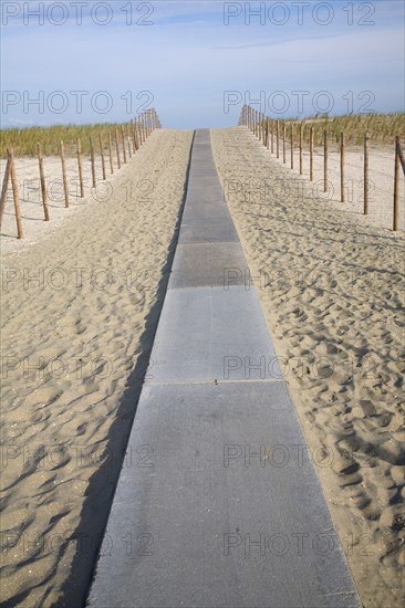 Sand dunes, Hook of Holland, Holland