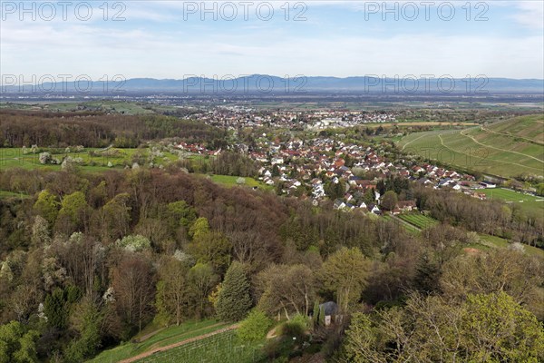 View of Müllheim and the Vosges Mountains, Badenweiler, Markgräflerland, Black Forest,