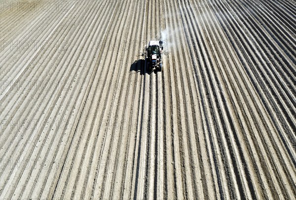 Tractor dragging a plume of dust behind it while working a potato field, Münchenberge, 20/05/2020
