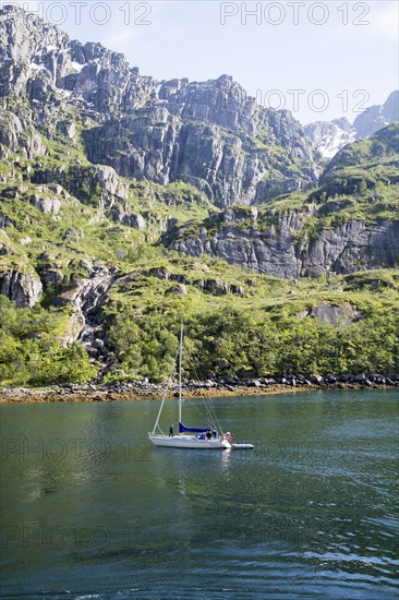 Steep sided glacial trough fiord jagged mountain peaks, Trollfjorden, Lofoten Islands, Nordland,